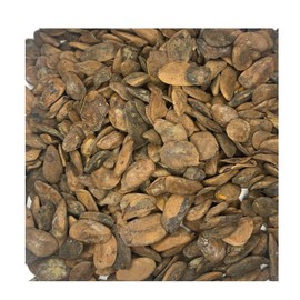 Abere Seeds (Hunteria Umbellata) - 12 Seeds