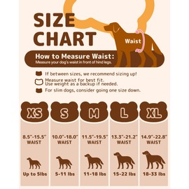 Dono Disposable Dog Diapers Female-60PCS, Pull it Up Doggie Diapers for Female Dogs with 360° Stretchy Waist, Doggy Diapers for Dog in Heat Period, Super Absorbent Leak-Proof Puppy Diapers, S