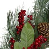 Northlight Leaves, Berry and Pine Needle Artificial Christmas Wreath -