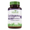 Colageno Tipo Ii Ácido Hialurónico Magnesio 30 Cáp Vidanat Sabor