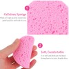 Pack of 20 Compressed Face Sponges, 60 x 6 mm