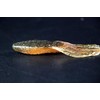 Jackall RV-Drift Claw Worm 4.0" RV Black