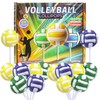 Volleyball Lollipops, Individually Wrapped Candy for End of Year Team