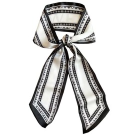 Dailyacc Silky Head Scarf For Women Lightweight Neck Tie Hair Fashion Scarves - G31