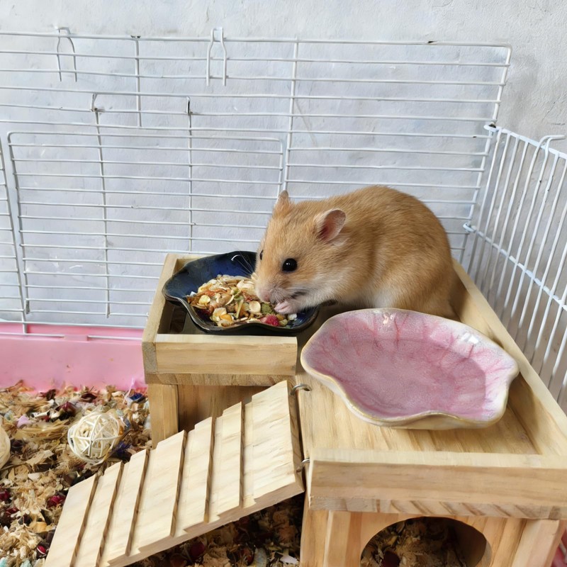 4PCS Ceramic Hamster Food Dish,Lotus Leaf Guinea Pig Food Bowls