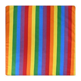 VAEIORP 2 pcs Rainbow Headbands & Headband Set – Unisex Accessories for Gay Dance Costume & Friends Costume Accessories