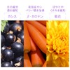 ISDG Lutein, Bilberry Supplement, Anti-Blue Light, Marigold Extract, Bilberry Extract,