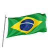 Brick Takeover Brazilian Flag - Brazil Flag - Green -