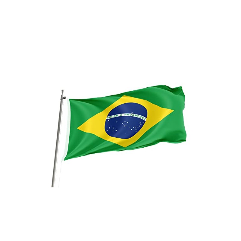 Brick Takeover Brazilian Flag - Brazil Flag - Green -