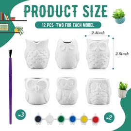 Tanlade 12 Set Paint Your Own Ceramic Planters Mini Owl Ceramic to Paint Succulent Pots 2.5 Inch Bisque Ceramics Unpainted with Drainage Hole Ready to Color Classroom Craft Project Activity