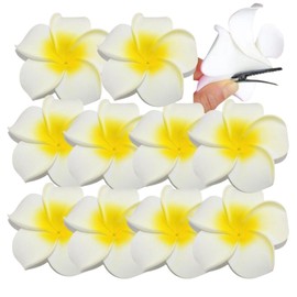 Copeflap Hair Pins Hair Clips Flower Plumeria Hair Ornaments Hair Accessories Set of 10 (White)