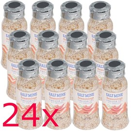 24x Saltmine Seasoning Himalayan Salt - 250g (Chillies)