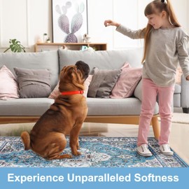 COMSLE Area Rug 3x5 Faux Wool Rugs for Kitchen, Boho Washable Throw Rugs Non-Slip Distressed Carpet Soft Accent Floor Rug for Bedroom, Living Room, Laundry Room (Light Blue)