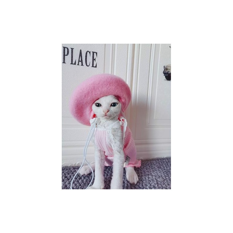 Dog Beret Hats Cats Hats Fashion Four Seasons Funny Wool