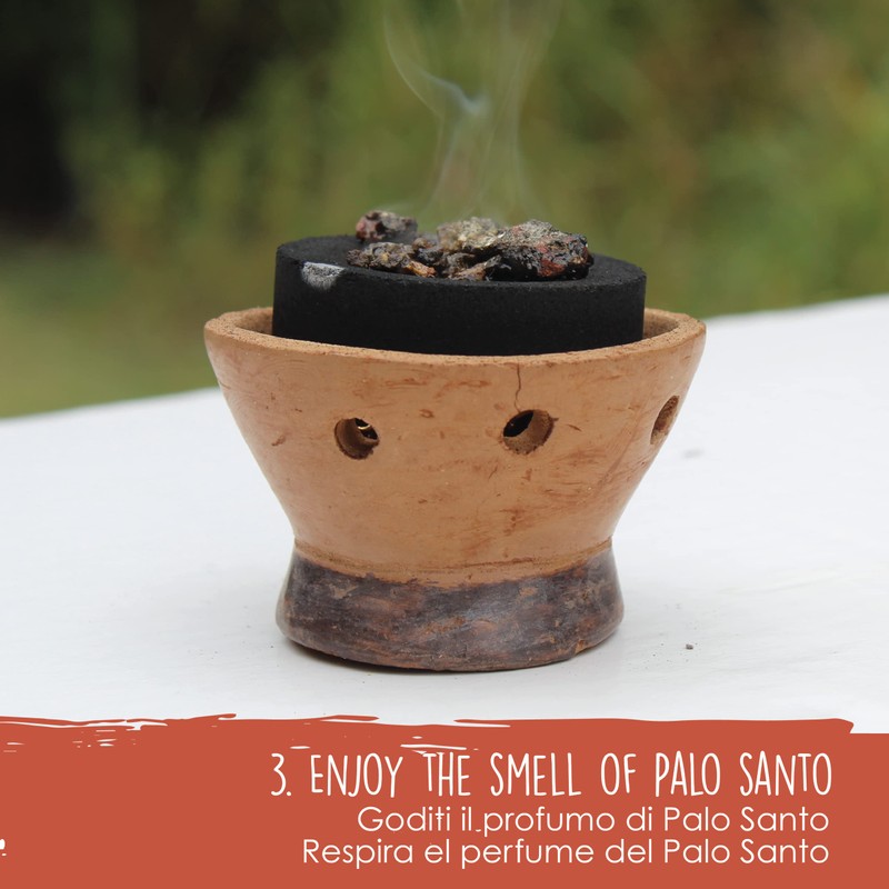 Resin 30g Palo Santo Selecciòn