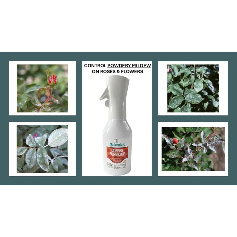 Nature's IQ Copper Fungicide. Innovative Spray Mist Technology. Controls powdery