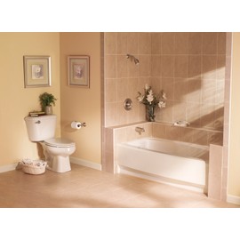 Moen DN6808BN Sage Toilet Paper Holder, Brushed Nickel