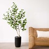 Nearly Natural 5ft. Artificial Birch Tree with Real Touch Leaves