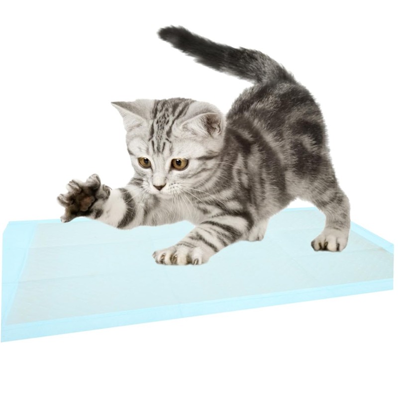 Gatuida 50pcs Leak-Proof Disposable Pet Training Pads Absorbent Pee Pads