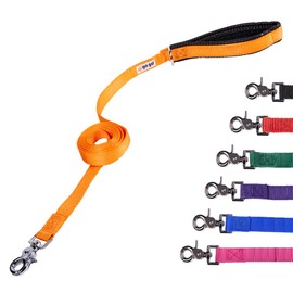 GOGO Pet Products 1-Inch Wide Comfy Nylon Dog Leash, 6-Feet Long, Orange