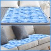 Cooling Sleeping Mat Set with 1 Pillow Cushion, Cooling Mattress