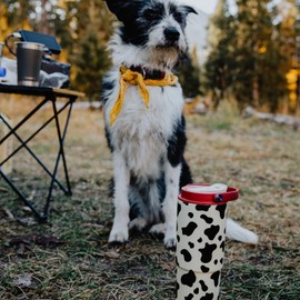 BOTTLE BOTTLE Insulated Water Bottle with Straw and Handle Stainless Steel Water Bottles for Car Sports Home Office and School 26oz Leak Proof(Cow)