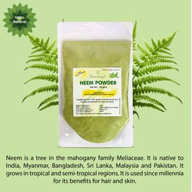 Yauvanya Neem (Azadirachta Indica) Leaves Powder for Hair and Skin - 1 X 100 GMS