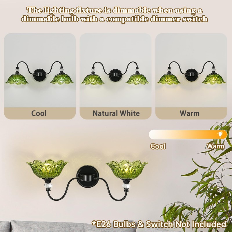 sunkryster Black Bathroom Vanity Light, 2-Light Vanity Light with Floral