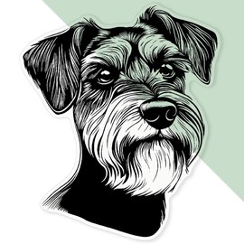 'Schnauzer Dog Portrait' Clear Sticker Decal – Waterproof Film for Windows, Cars, Walls & Crafts, XL (460mm) (DC00139791)