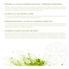 Te Verde Matcha Imperial Nice 100 Grs