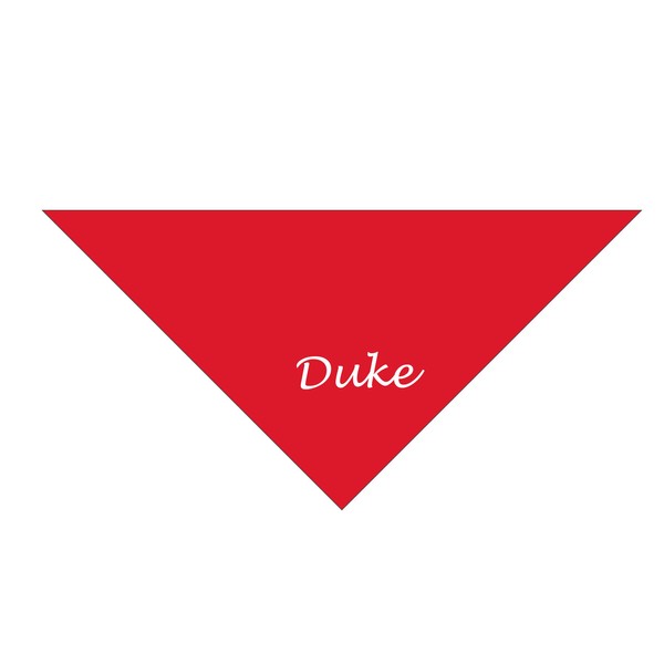 Generic Bandana for Your Dog (Duke, Large), Red
