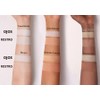 SHEGLAM Insta-Ready Face Powder Polvos fijadores sueltos debajo de los