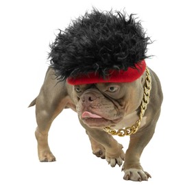Wodison Dog Costume Set Hip Hop Wig Cap and Diamond Gold Dog Chain Collar Adjustable Dog Costumes Cool Cosplay Accessories for Medium to Large Pet Birthday Holiday Party Daily Life(Black Red, Diamond)