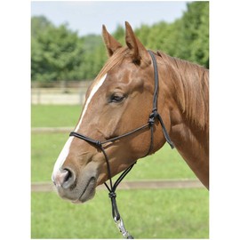 BUSSE Smooth II Knot Halter