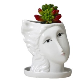 SPARIK ENJOY Girl Ceramic Flowerpot Cute Animal Basin Cactus Succulent Plant Basin Table top Balcony Decoration (Girl)