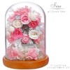 Teat Sight Preserved Flower Gift Flower Present Glass Dome Ferris