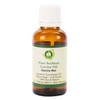 R V Essential Pure Soybean Carrier Oil - Glycine Max