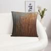 Dark Grey Rust Throw Pillow Covers 18"X18" Cozy Velvet Square
