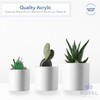 Royal Imports Flower Acrylic Vases Cylinders - Decorative Centerpiece Display