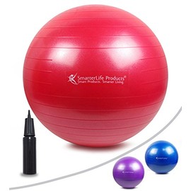 Exercise Ball for Yoga, Balance, Stability from SmarterLife - Fitness, Pilates, Birthing, Therapy, Office Ball Chair and Flexible Seating | Anti Burst, Non Slip | + Workout Ball Guide (Red, 55 cm)