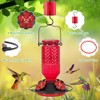 Hummingbird Feeder with Bee Guards and Ant Moat - 16