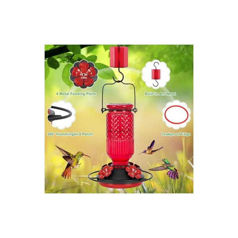 Hummingbird Feeder with Bee Guards and Ant Moat - 16