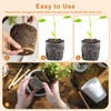 zisiueel 20 Pcs 1 Gallon Gopher and Vole Wire Mesh