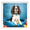 Springer Spaniel Dog Coaster Set. 4 different Springer Spaniel Dog