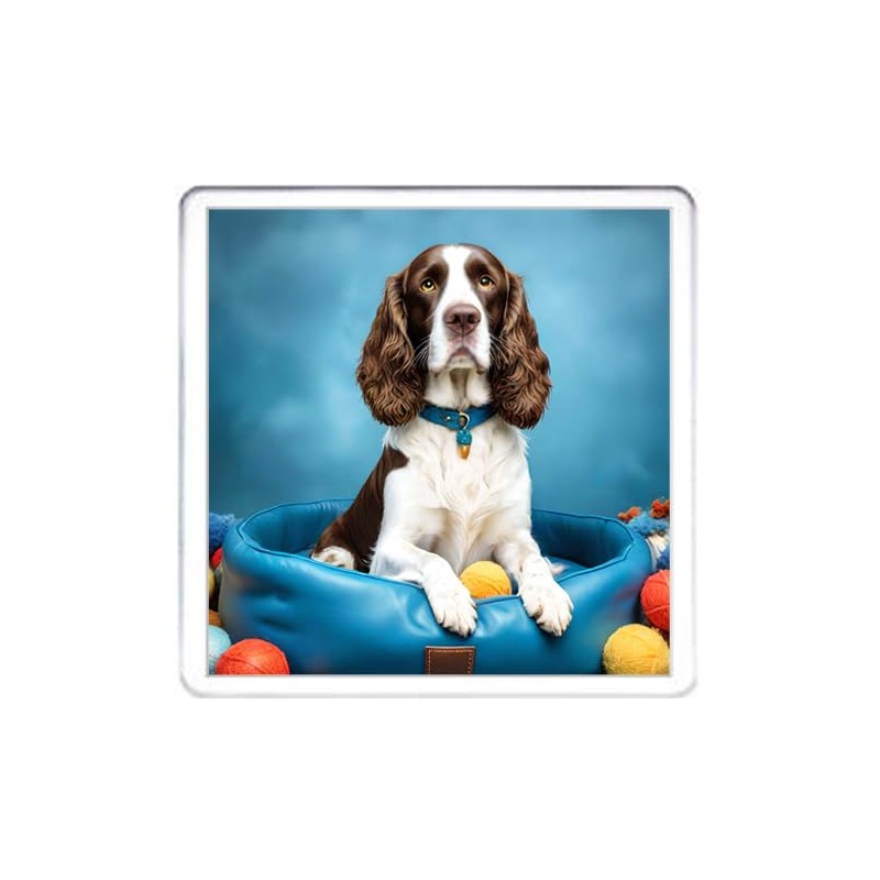 Springer Spaniel Dog Coaster Set. 4 different Springer Spaniel Dog