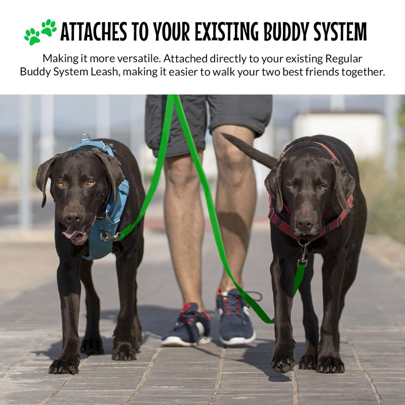 The Buddy System Double Buddy Regular Green