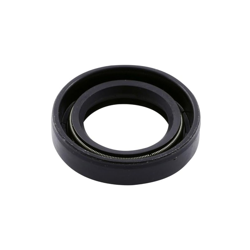 Shaft Seal Ring 17x27x6 mm Morini