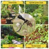WANGCL Stand-Up-Weeder Weed-Puller Uprooted Design With Foot Plate for Removing