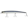 Basic Gear sorutekkuparagasu 160 01 HG Coalfish 38191