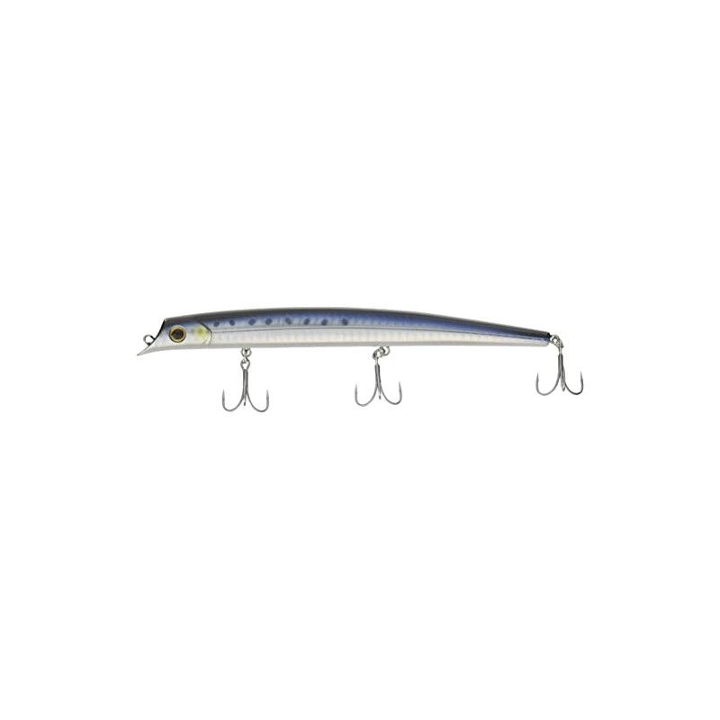 Basic Gear sorutekkuparagasu 160 01 HG Coalfish 38191